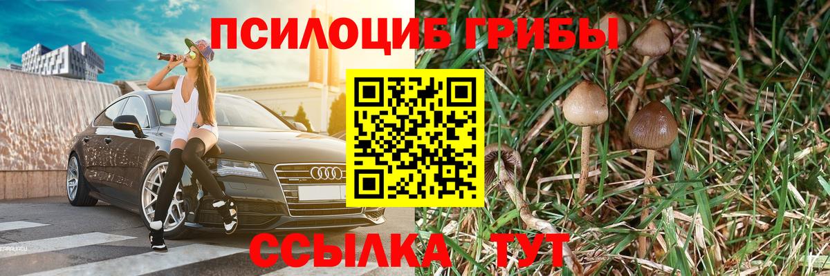 Галлюциногенные грибы Magic Shrooms Архангельск